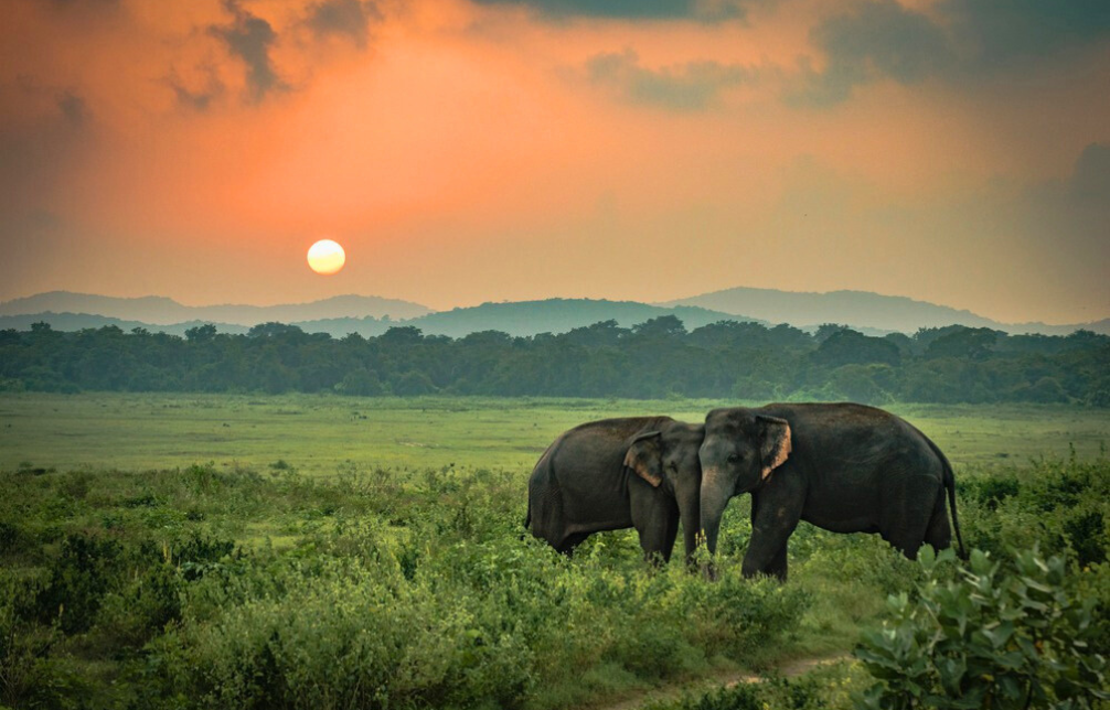 Sri Lanka