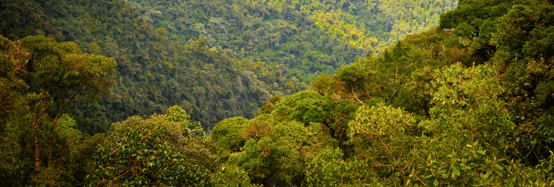 Ecuador