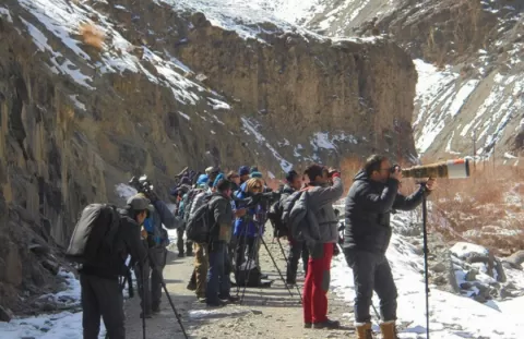 Ladakh Birding