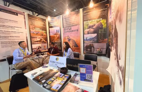The Great Indian Travel Bazaar