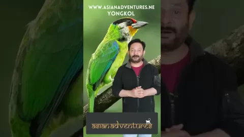 Embedded thumbnail for Discover The Stunning And Bird-Rich Valleys Of Bhutan
