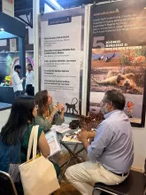 The Great Indian Travel Bazaar
